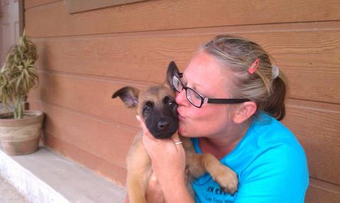 chiot malinois